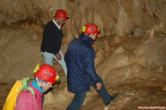 7DFE31DF-52F9-417F-8C32