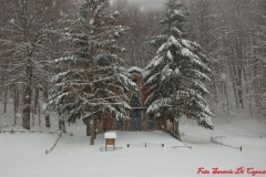 Nevicata_2012_043