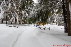 Nevicata_2012_046