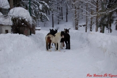 Nevicata_2012_109