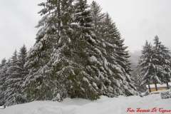 Nevicata_2012_180