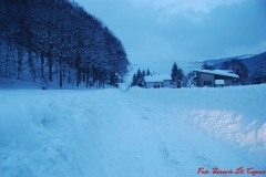 Nevicata_2012_219