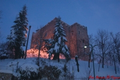 Nevicata_2012_310